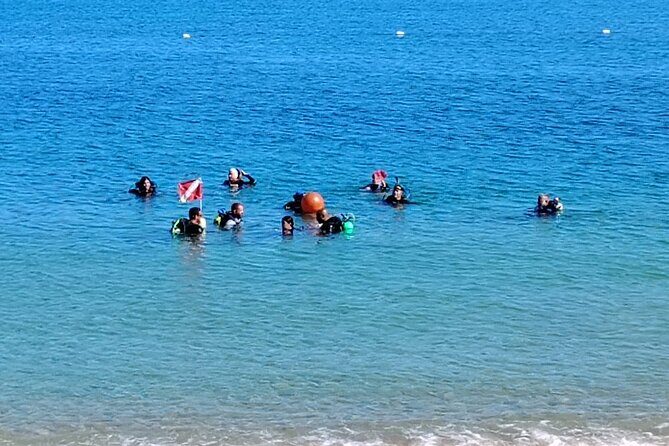 Snorkeling Tour at Cerro Gordo Beach Vega Alta Puerto Rico - Key Points