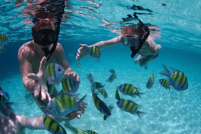 Snorkeling Tour at Land's End in Cabo San Lucas - In-Depth Look at the Snorkeling Tour at Land’s End