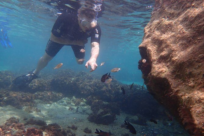 Snorkeling Tour - Authentic Experiences and Real Reviews