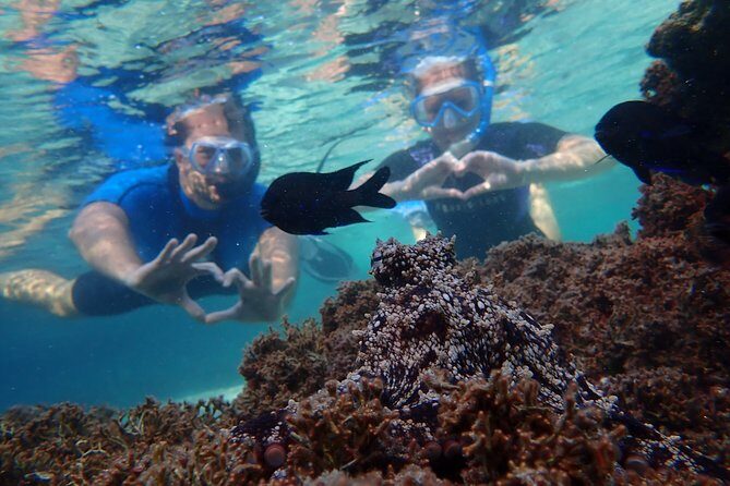 Snorkeling Tour - Final Thoughts
