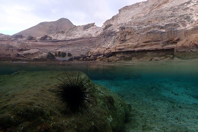 Snorkeling Tour - FAQ