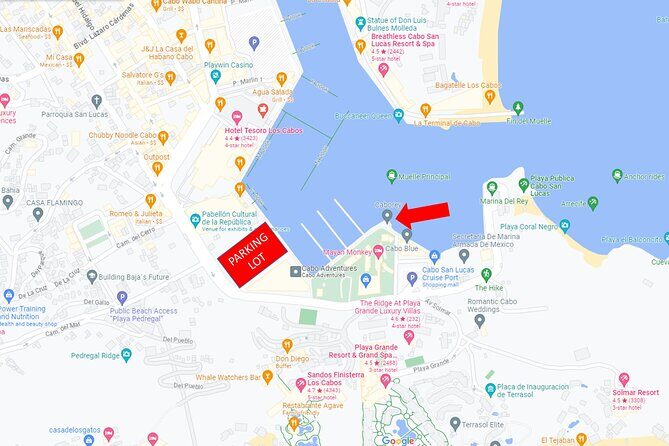 Snorkeling tour in Cabo San Lucas - Practical Tips for Travelers