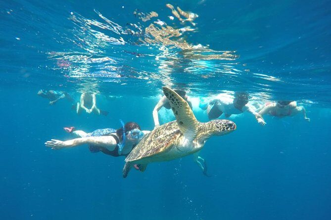 Snorkeling Tour In Gili Trawangan, Gili Meno And Gili Air Pick Up From Bali - A Snorkel Adventure from Bali to Lomboks Gili Islands