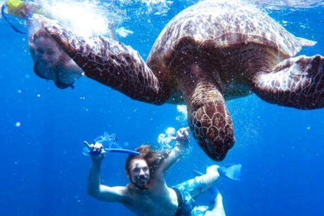 Snorkeling Tour In Gili Trawangan, Gili Meno And Gili Air Pick Up From Bali - Key Points