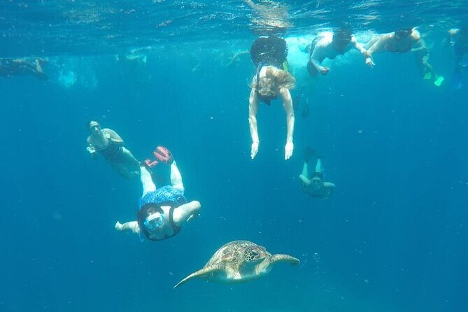 Snorkeling Tour In Gili Trawangan, Gili Meno And Gili Air Pick Up From Bali - The Sum Up