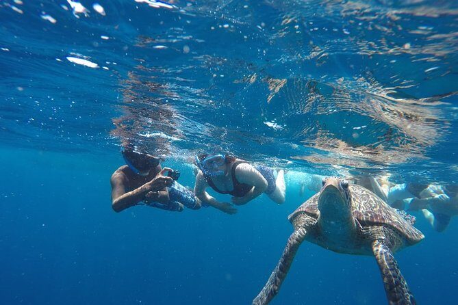 Snorkeling Tour In Gili Trawangan, Gili Meno And Gili Air Pick Up From Bali - FAQs