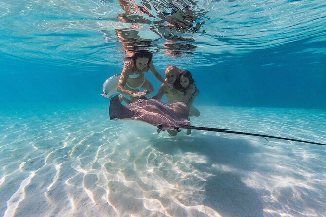 Snorkeling Tour in Moorea Aquatic Adventure Half Day - Snorkeling Tour in Moorea Aquatic Adventure Half Day: An Authentic Underwater Experience
