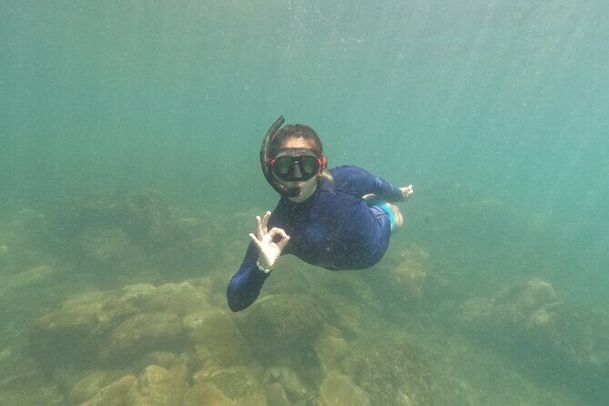 Snorkeling Tour on Macuco Island With Underwater Photos by Zimbros Ecotour - Key Points