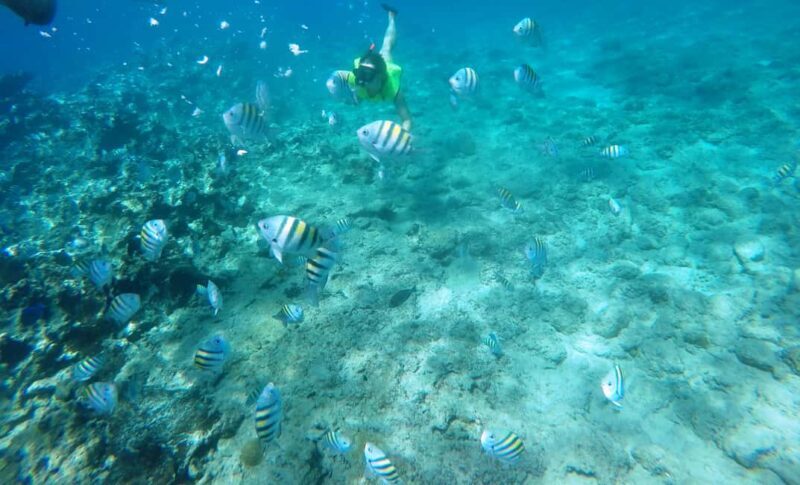 Snorkeling Tour & Sosua Beach Day - An In-Depth Look at the Snorkeling & Sosua Beach Experience