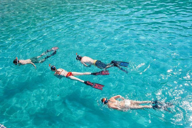 Snorkeling Tour to the Malgrats Islands by boat - Key Points