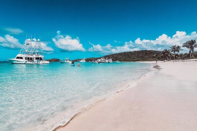 Snorkeling Tour to Vieques Island only 30 minutes away! - Value and Practical Details