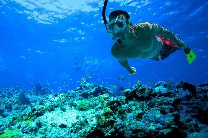 Snorkeling Tour to Vieques Island only 30 minutes away! - The Sum Up