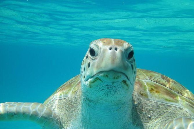 Snorkeling Tour (with Light Refreshments) - Key Points