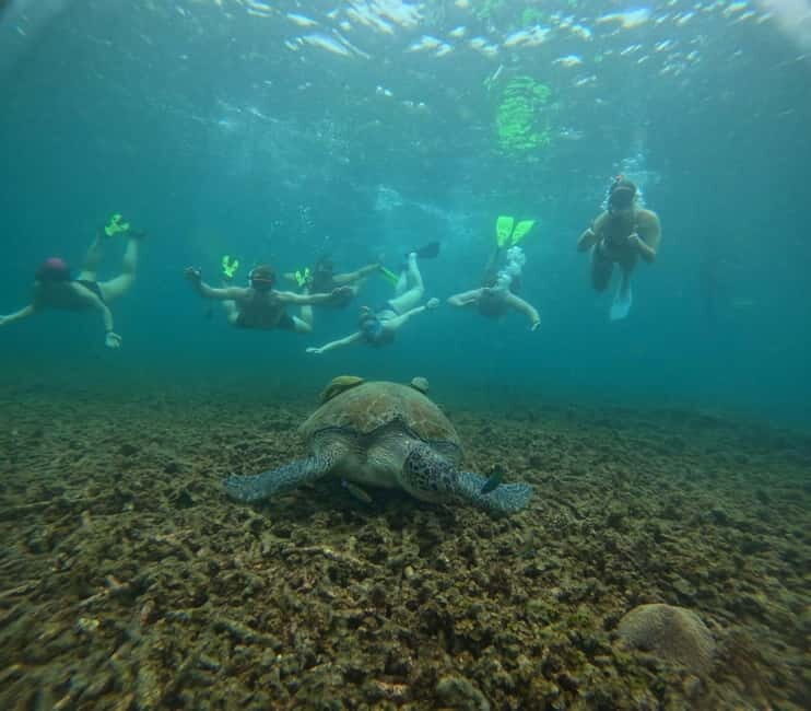 Snorkeling Tour with meals and BBQs - Cocktail - Sunset - Snorkeling Tour with Meals and BBQs – Cocktail – Sunset