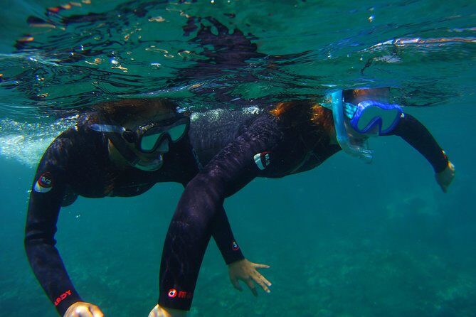 Snorkeling Tour with Sea Turtles and Stingrays - Accessibility and Practical Considerations