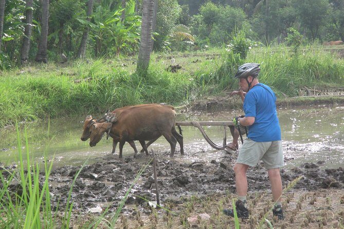 Snorkeling & Trekking at West Bali National Park - Final Thoughts