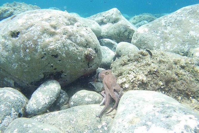 Snorkeling trip - Key Points