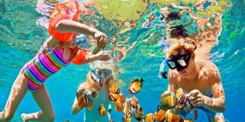 Snorkeling Trip from Polhena Beach, Matara, Sri Lanka - Key Points