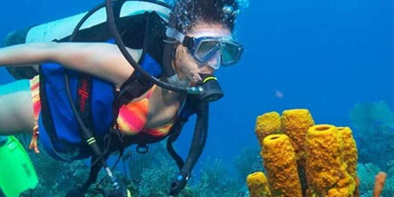 Snorkeling Trip from Polhena Beach, Matara, Sri Lanka - The Experience Provider: Snorkeling Mirissa