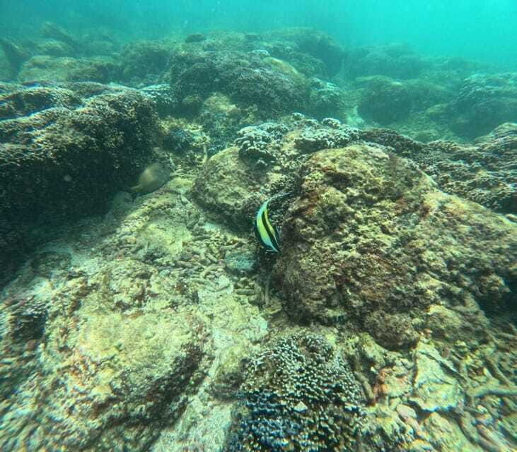 Snorkeling Trip To Angel Rock - Frequently Asked Questions