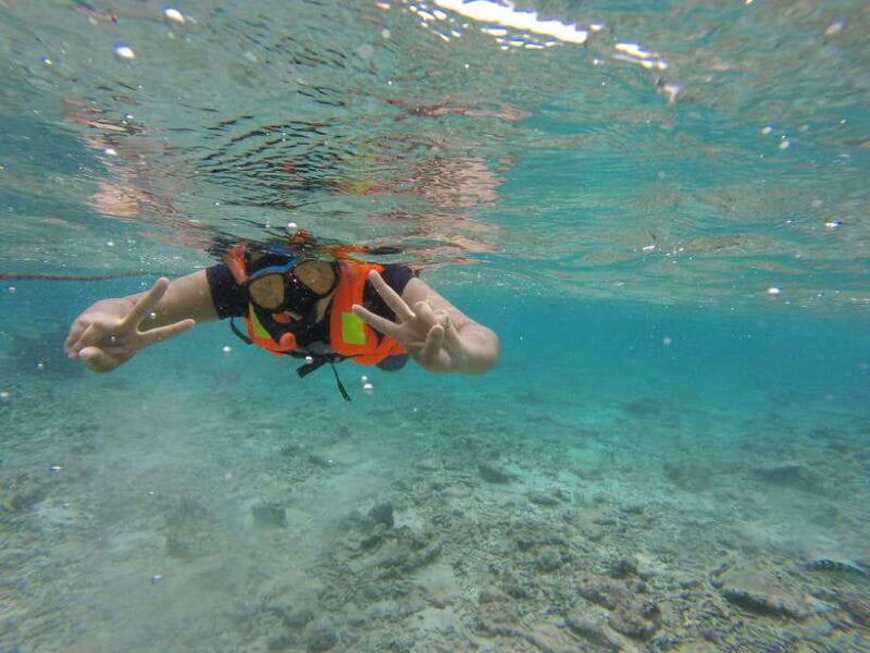 Snorkeling Trip To Pigeon Island - A Deep Dive into the Snorkeling Adventure