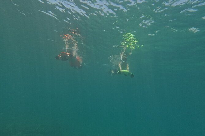 snorkeling ,Turtle Watching in Cyprus - Frequently Asked Questions