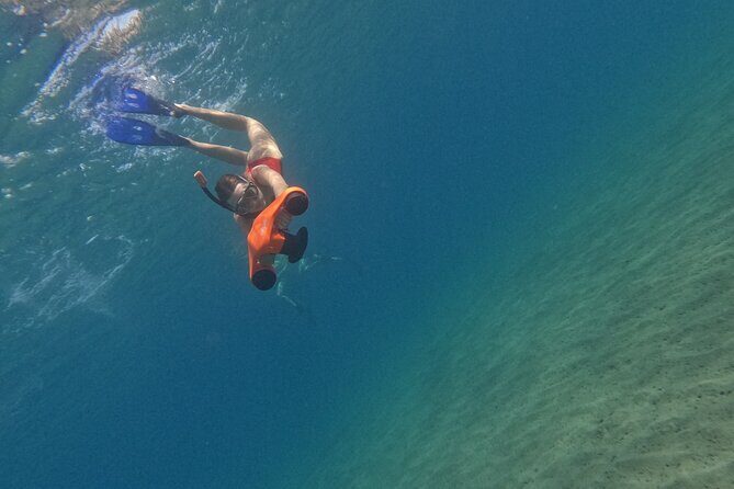 snorkeling ,Turtle Watching in Cyprus - References