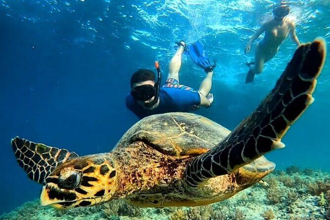 Snorkeling Turtles Points & Underwater Statues In Gili Islands - Snorkeling Turtles Points & Underwater Statues in Gili Islands: An Authentic Underwater Adventure