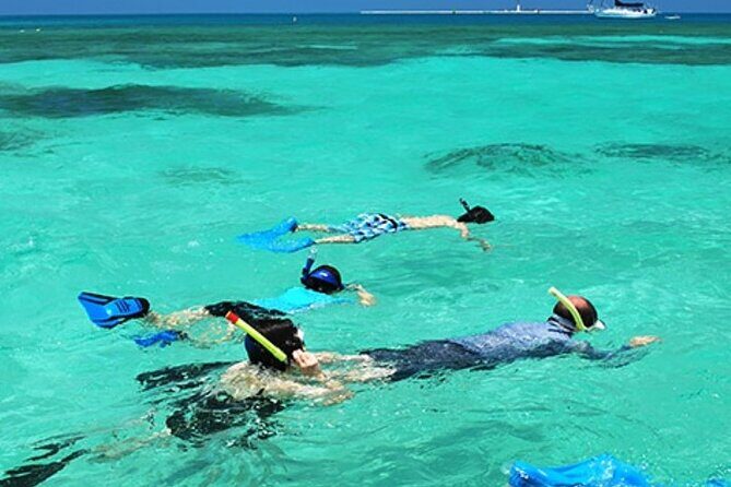 Snorkeling Water Private Activity In Montego Bay Jamaica - An In-Depth Look at the Snorkeling Water Activity in Montego Bay