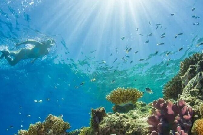 Snorkeling Water Private Activity In Montego Bay Jamaica - Why Snorkeling in Montego Bay Is Special