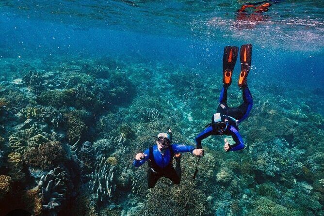 Snorkeling Water Private Activity In Montego Bay Jamaica - Frequently Asked Questions