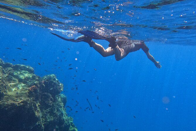Snorkeling with a Professional Instructor in Tenerife - Final Thoughts: Is This the Right Tour for You?