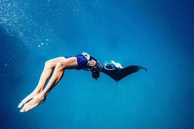 Snorkeling with Manta Rays from Maafushi - An Honest Look at Snorkeling with Manta Rays from Maafushi