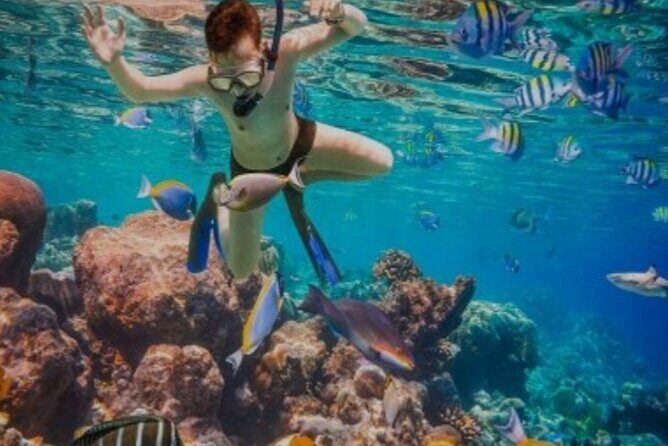 Snorkeling with Margaritaville and shops on Hipstrip activity - Who Will Love This Tour?