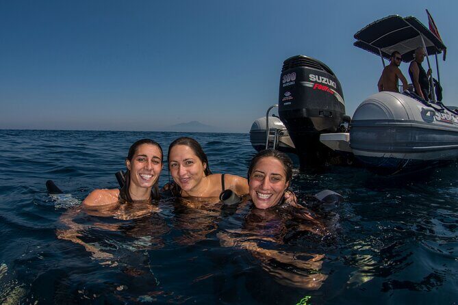 Snorkeling with Marine Biologist Expert from Sorrento - Key Points