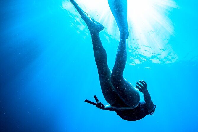 Snorkeling with Marine Biologist Expert from Sorrento - FAQ about the Snorkeling with Marine Biologist Experience