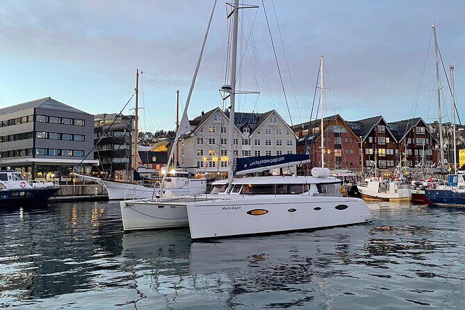 Snorkeling with Orcas In Norway, 4 days All-Inclusive expedition - Frequently Asked Questions