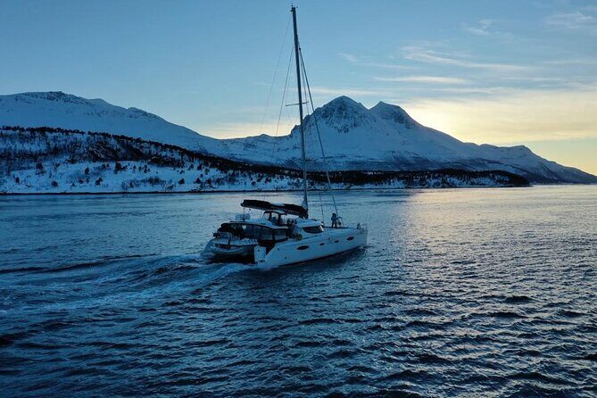 Snorkeling with Orcas In Norway, 4 days All-Inclusive expedition - Wrapping It Up: Who Is This Tour For?
