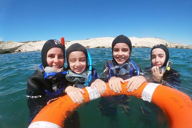 Snorkeling with Sea Lions and Wildlife Adventure - The Value of the Experience