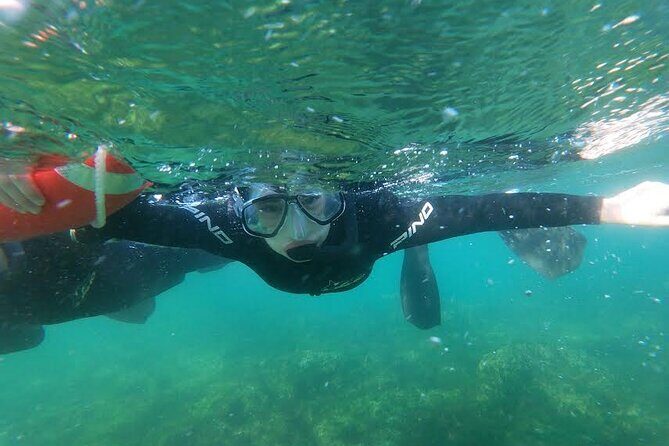 Snorkeling with Sea Lions and Wildlife Adventure - Frequently Asked Questions