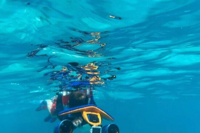 Snorkeling with Sea Scooters and Sea Adventure - Offshore - Why Choose This Tour?