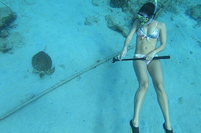 Snorkeling with Sea Turtles - Discover Snorkeling with Sea Turtles in St. Croix