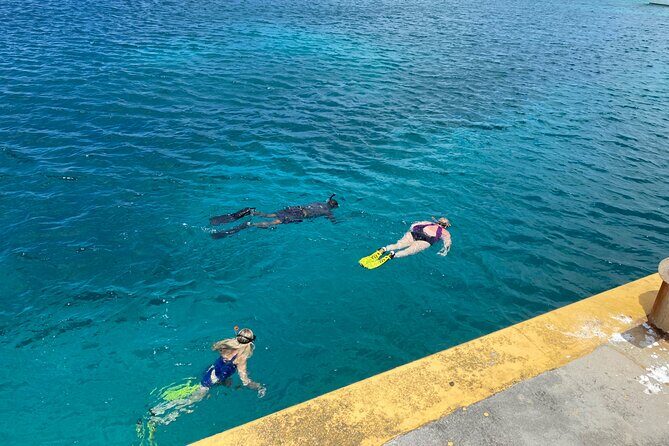 Snorkeling with Sea Turtles - Final Thoughts