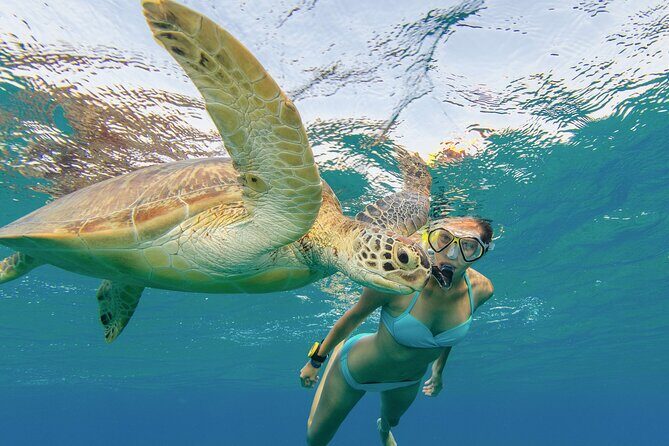 Snorkeling with Turtle/Water Scooter/Paddleboard Adventures Oahu - FAQ