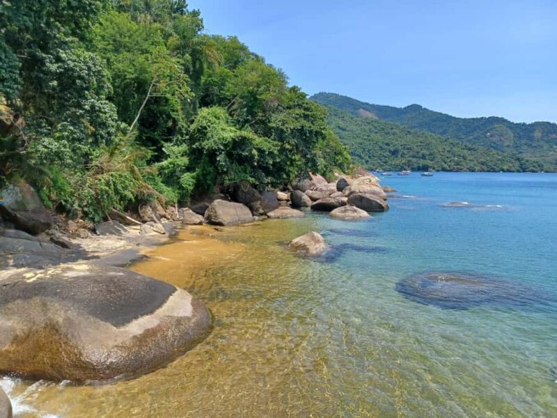 Snorkeling with turtles in their natural habitat - Lunch at Saco de Céu: A Beachside Brazilian Feast