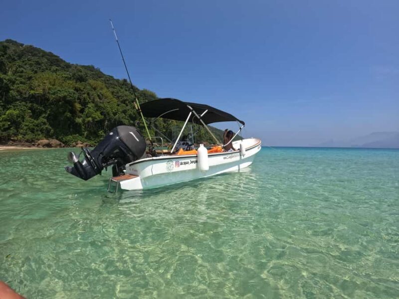 Snorkeling with turtles in their natural habitat - Who Should Book This Tour?