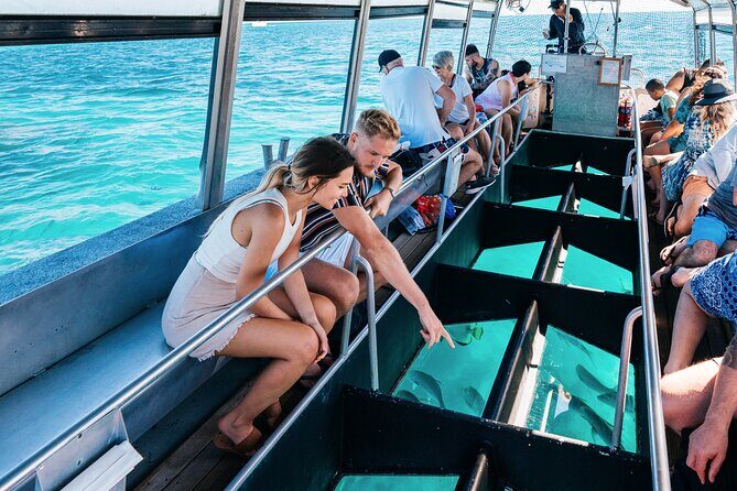Snorkelling and Glass Bottom Boat at Green Island from Cairns - An In-Depth Look at the Tour Experience