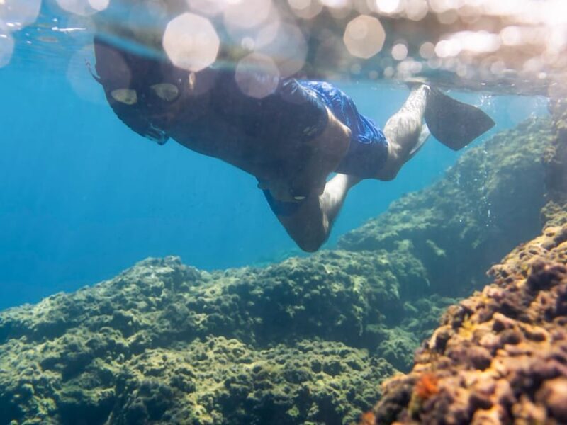 Snorkelling & Marine Biology Experience in the Cinque Terre - What You Can Expect During Your Snorkeling Adventure