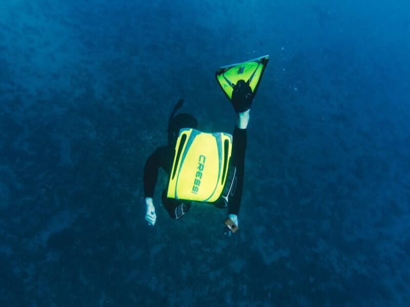 Snorkelling & Marine Biology Experience in the Cinque Terre - The Value of This Experience