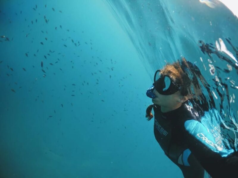 Snorkelling & Marine Biology Experience in the Cinque Terre - Who Should Consider This Tour?